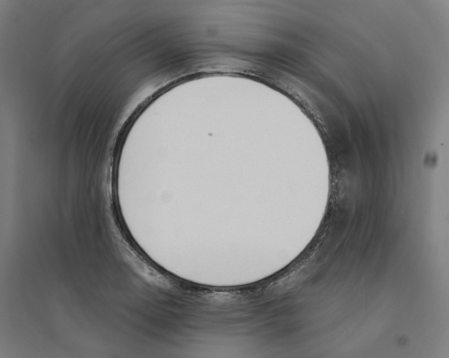X0000094361130200711301419