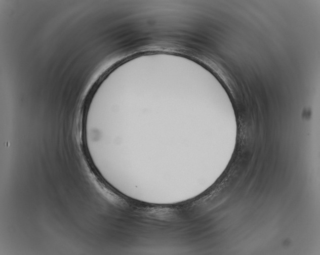 X0000094361131200711301419