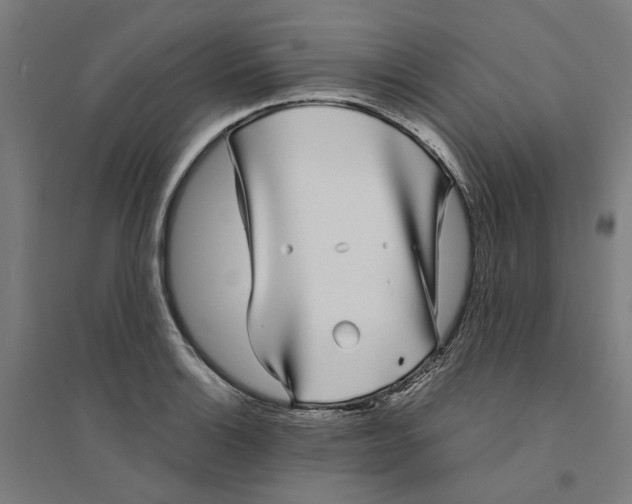 X0000094361132200711301419