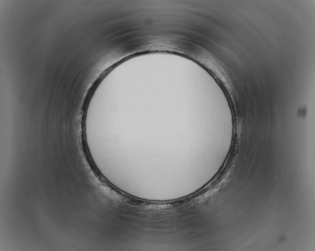 X0000094361133200711301419