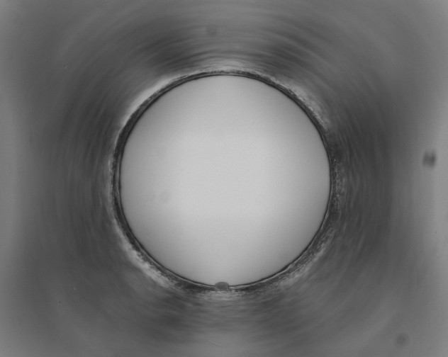 X0000094361134200711301419