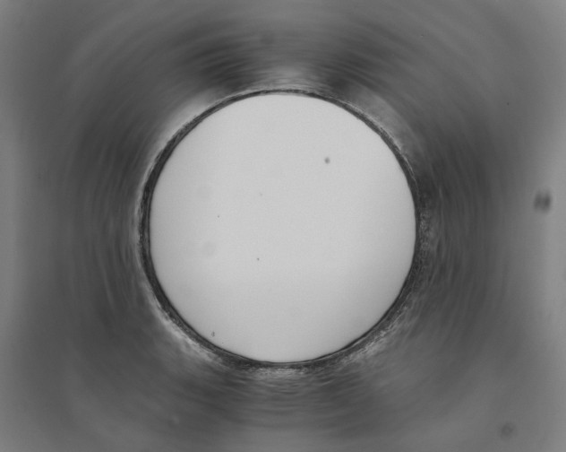 X0000094361135200711301419