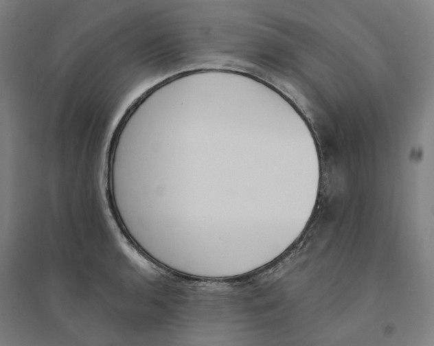 X0000094361136200711301419