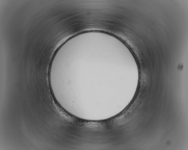 X0000094361137200711301419