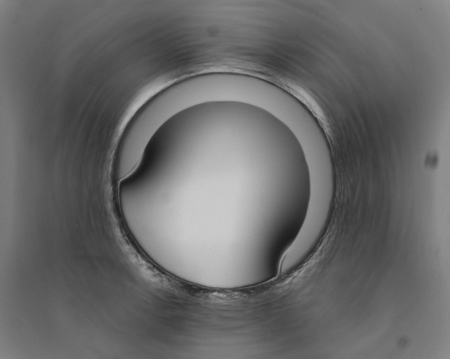 X0000094361138200711301419
