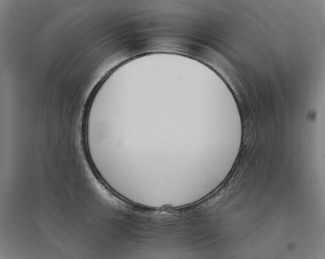 X0000094361139200711301419