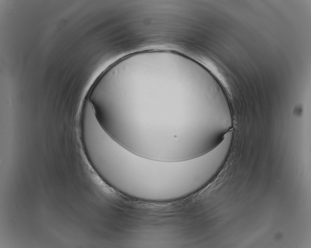 X0000094361140200711301419