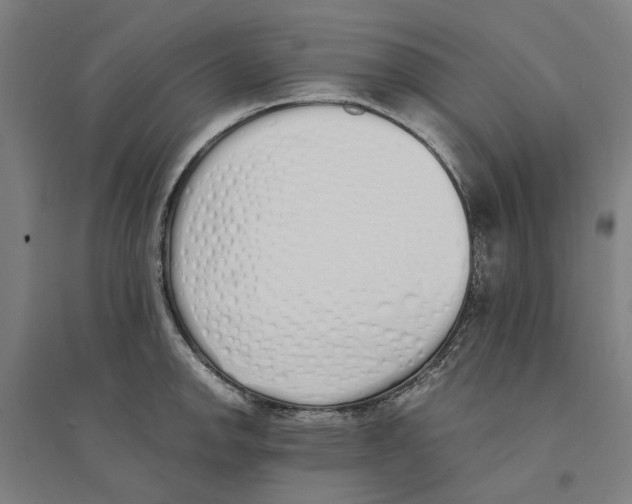 X0000094361142200711301419