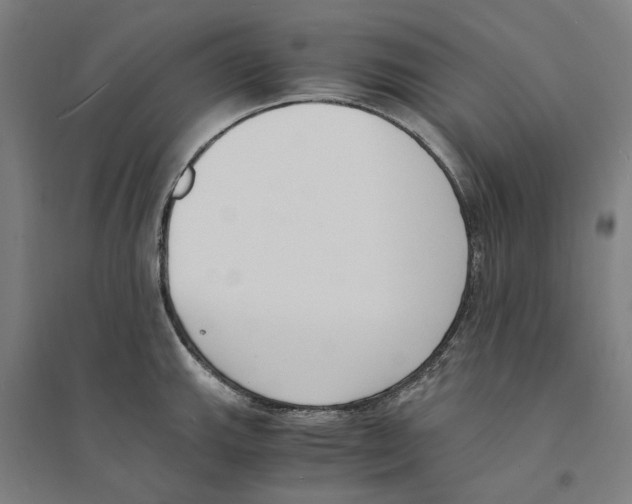 X0000094361143200711301419