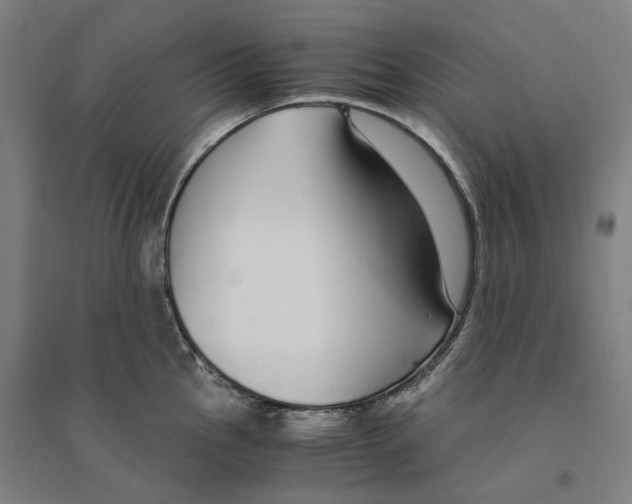 X0000094361145200711301419