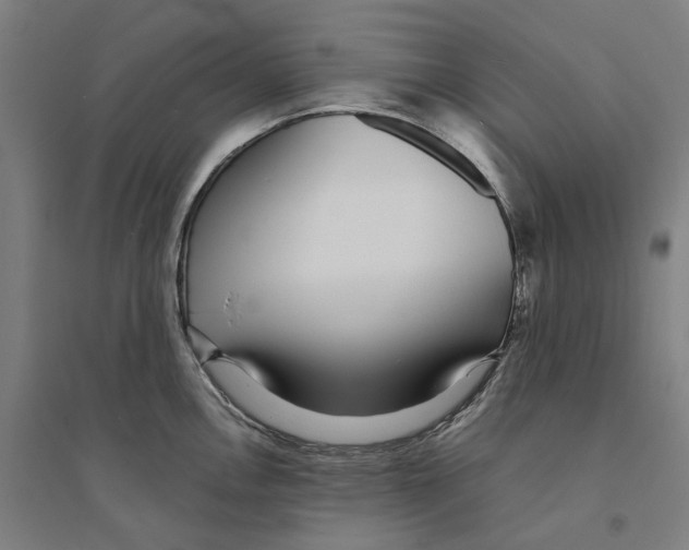 X0000094361146200711301419