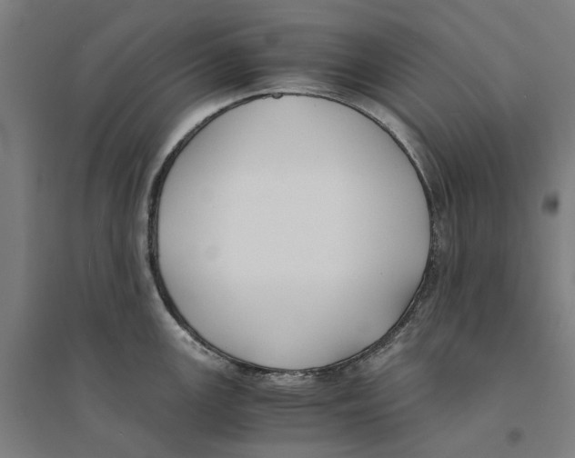 X0000094361147200711301419