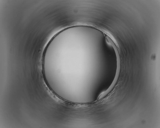 X0000094361148200711301419