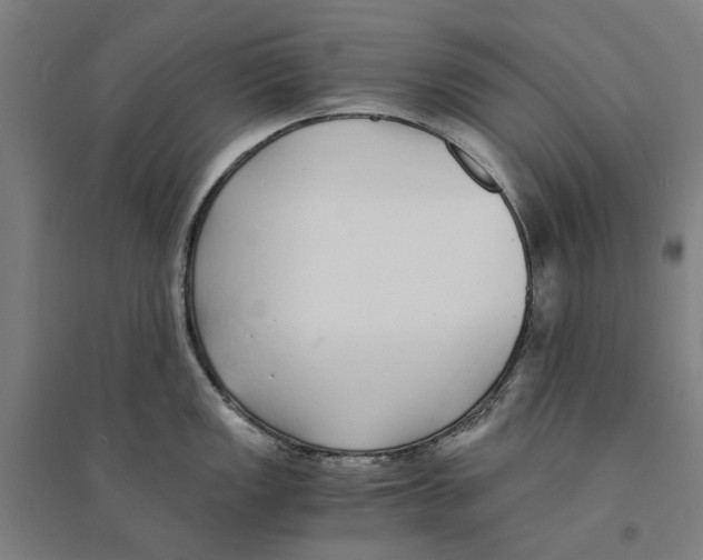 X0000094361149200711301419