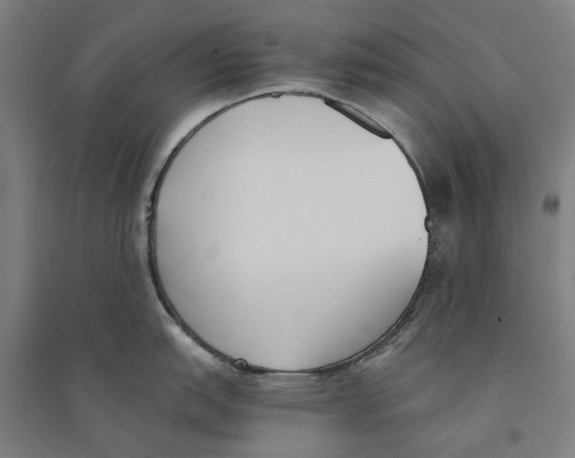 X0000094361151200711301419