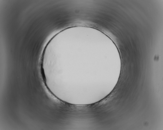 X0000094361152200711301419