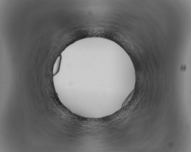 X0000094361153200711301418