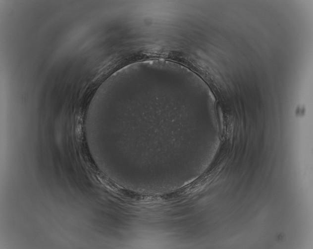 X0000094361154200711301418