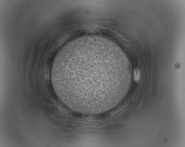 X0000094361155200711301418
