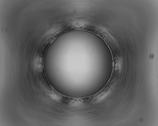 X0000094361156200711301418