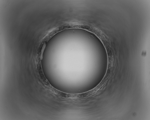 X0000094361157200711301418