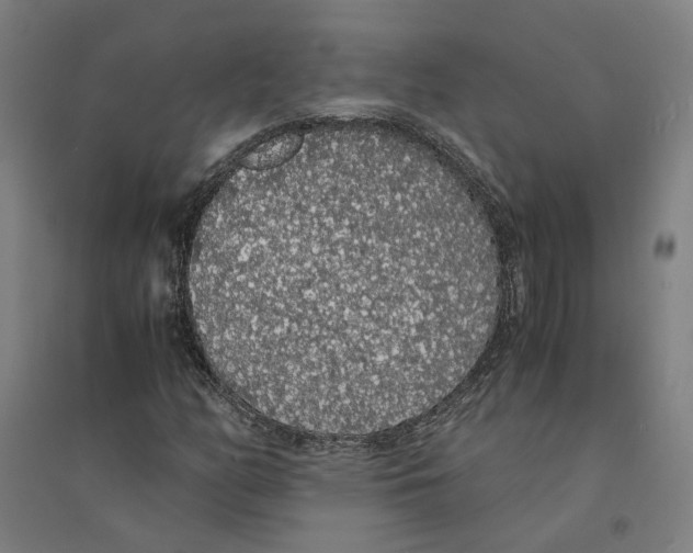 X0000094361158200711301418