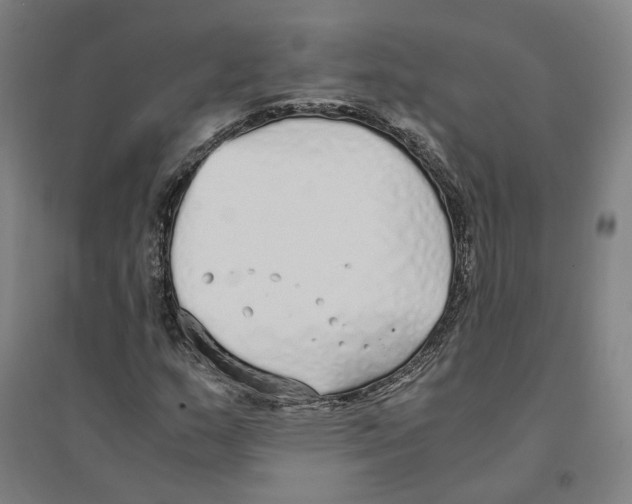X0000094361159200711301418