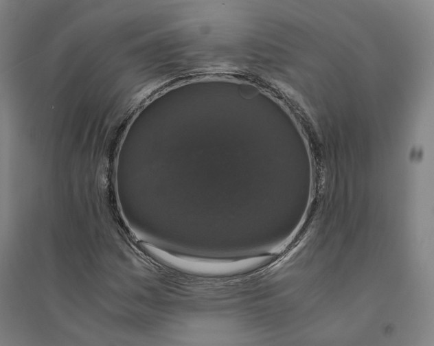 X0000094361161200711301418