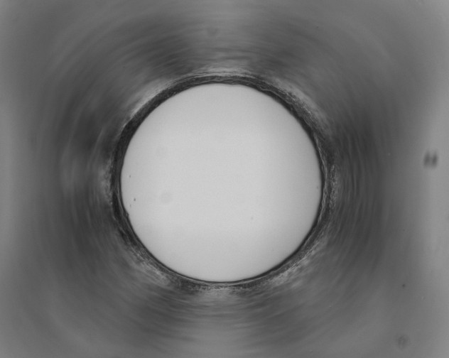 X0000094361162200711301418
