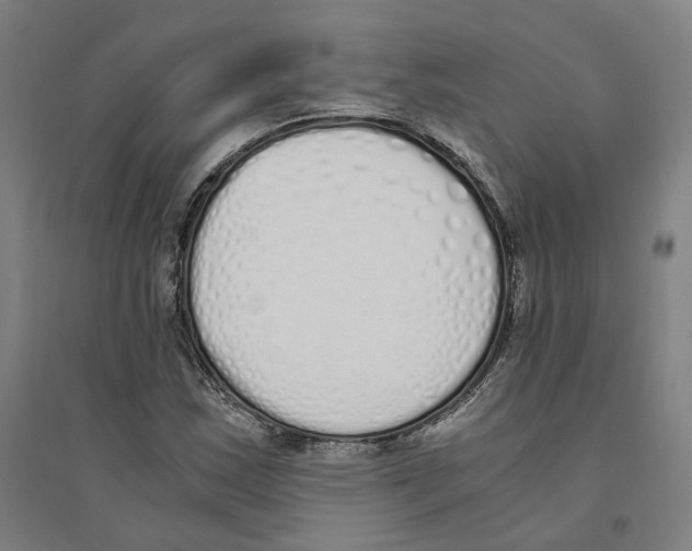 X0000094361163200711301418
