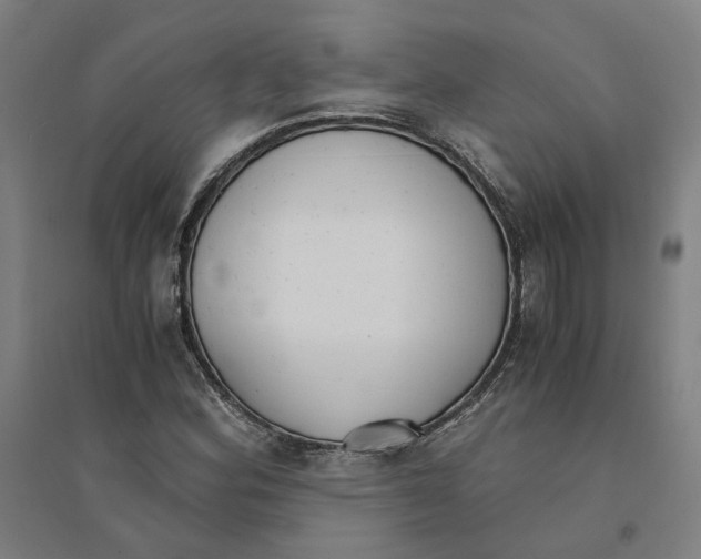 X0000094361164200711301418