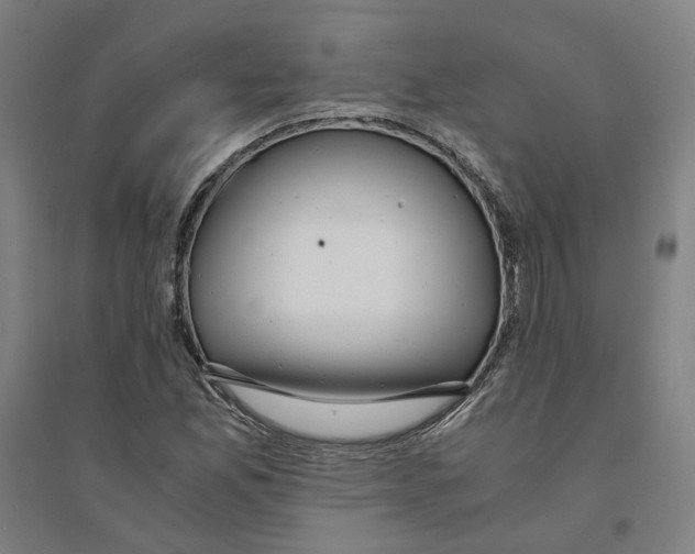 X0000094361165200711301418
