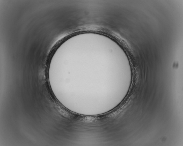 X0000094361166200711301418