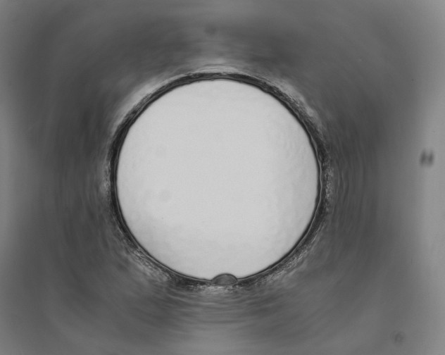 X0000094361167200711301418