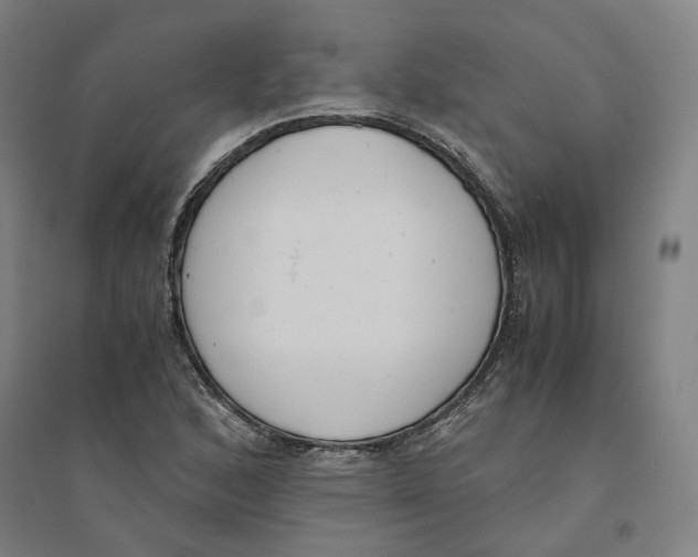 X0000094361168200711301418