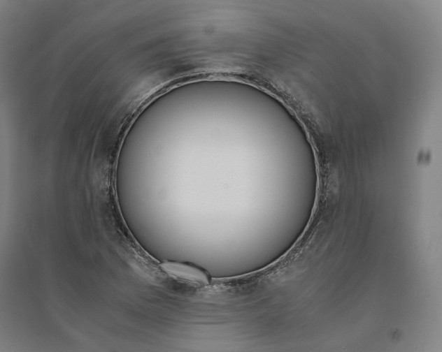 X0000094361169200711301418