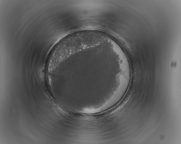 X0000094361170200711301418
