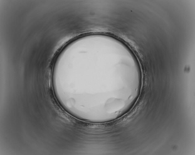 X0000094361171200711301418