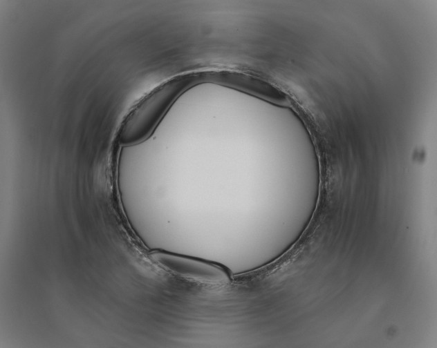 X0000094361172200711301418