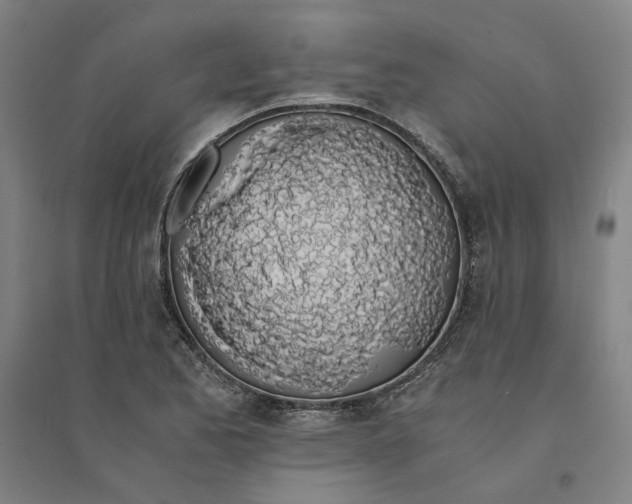 X0000094361173200711301418