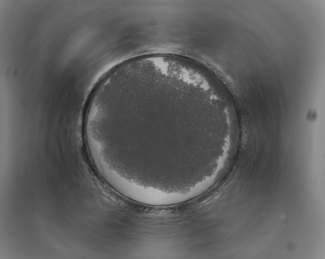 X0000094361174200711301418
