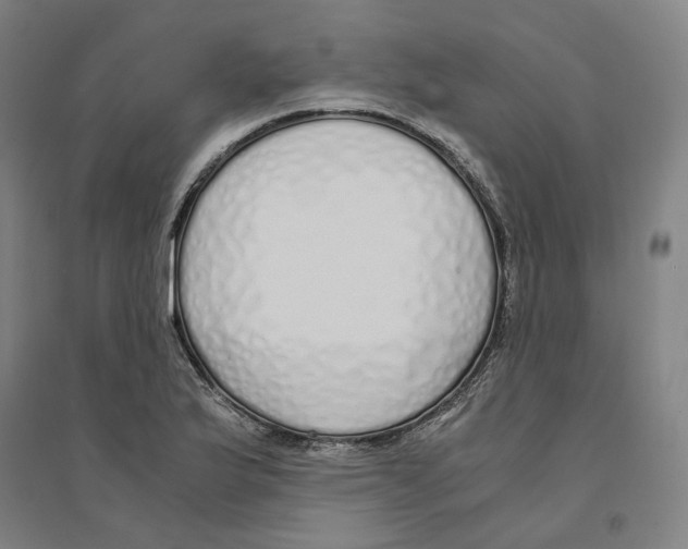 X0000094361175200711301418
