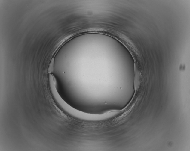 X0000094361177200711301418