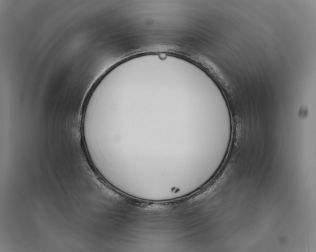 X0000094361178200711301418