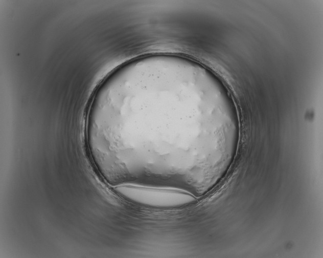 X0000094361179200711301418