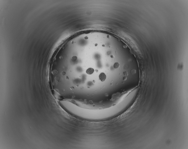 X0000094361180200711301418
