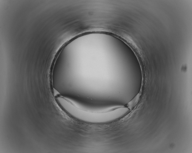 X0000094361181200711301418