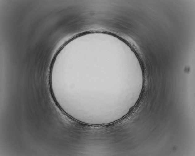 X0000094361183200711301418