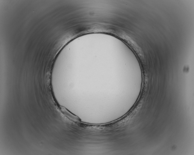 X0000094361185200711301418