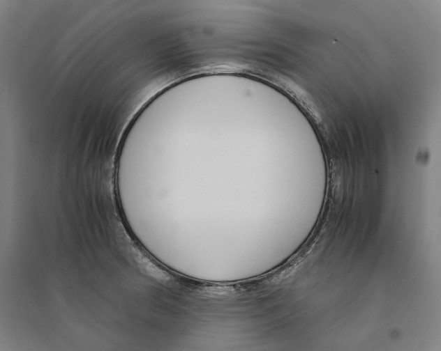 X0000094361186200711301418